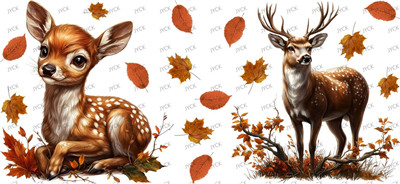 Other animal-Y31243