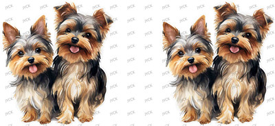 Other animal-Y32357