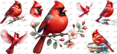 Other animal-Y32448