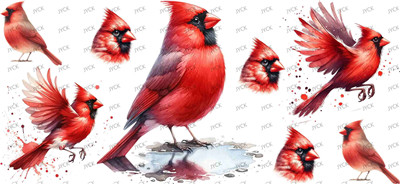 Other animal-Y32453