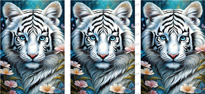 Other animal-Y32716