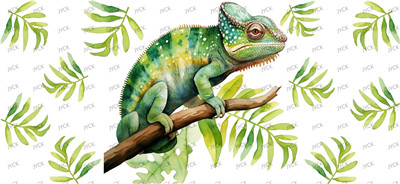 Other animal-Y32936