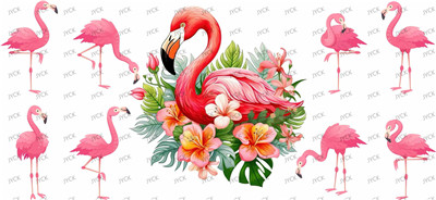 Other animal-Y32943