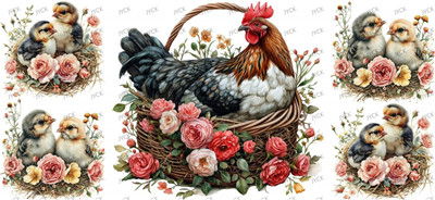 Other animal-Y34337