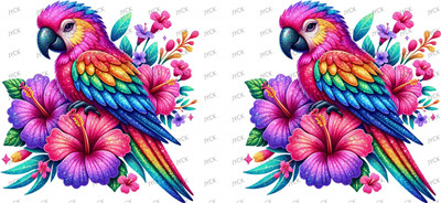 Other animal-Y34813