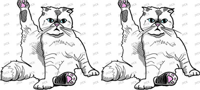 Other animal-Y3637