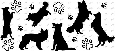 Other animal-Y4428