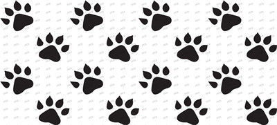 Other animal-Y7298