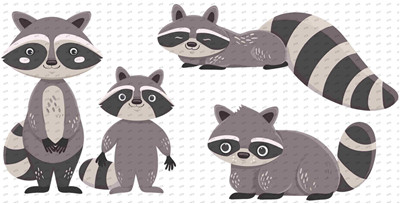Other animal-Y9796