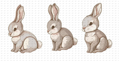 Other animal-Y9814
