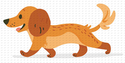 Other animal-Y9835