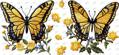 animal butterfiy-Y39377