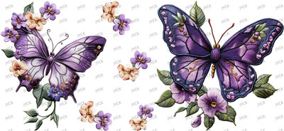 animal butterfiy-Y39378