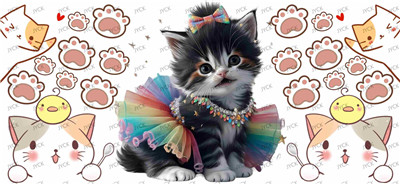 cat-Y17246