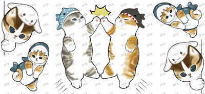 cat-Y24635
