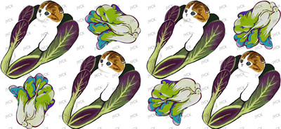 cat-Y24637