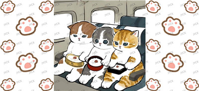 cat-Y24638