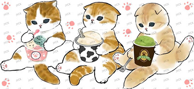 cat-Y24640