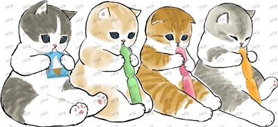 cat-Y24641