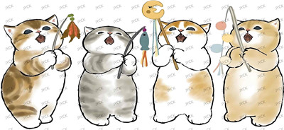 cat-Y24642