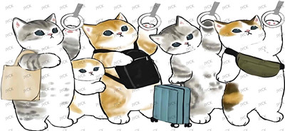 cat-Y24643
