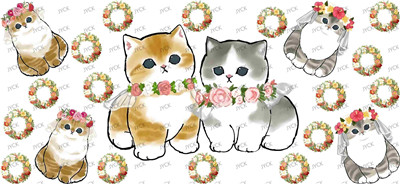 cat-Y24646