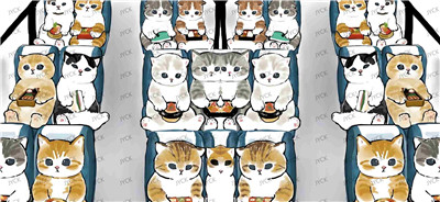 cat-Y24649