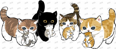 cat-Y24650
