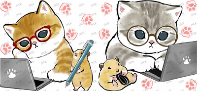cat-Y24652