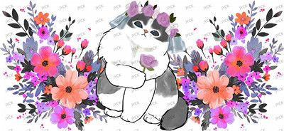cat-Y24654