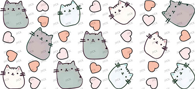 cat-Y30593