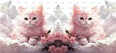 cat-Y31312