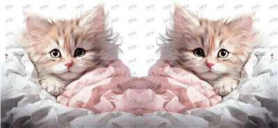 cat-Y31321