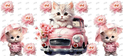 cat-Y31323