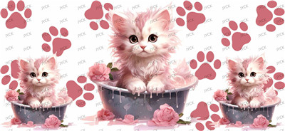 cat-Y31324