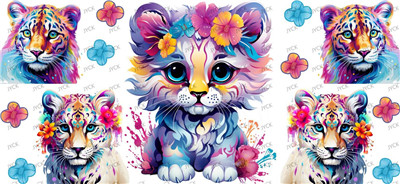 cat-Y35205