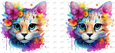 cat-Y35212