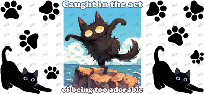 cat-Y36628