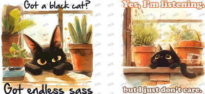 cat-Y36641