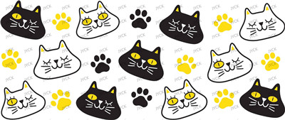 cat-Y4462
