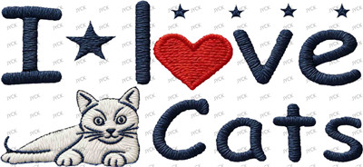 cat-Y45595