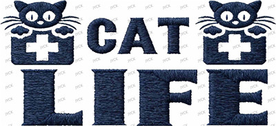 cat-Y45596