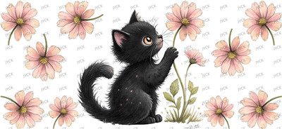 cat-Y48754