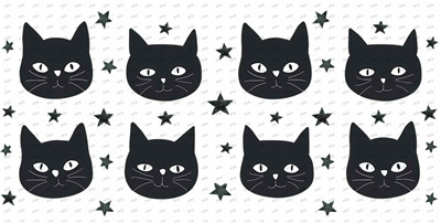cat-Y9191