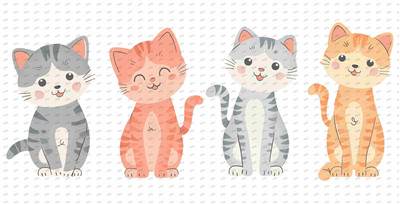 cat-Y9875