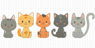 cat-Y9878
