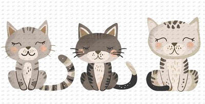 cat-Y9881