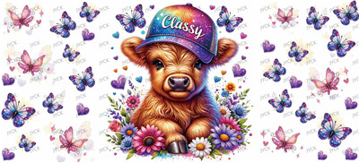 cow-Y11696