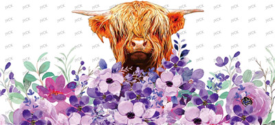 cow-Y1336