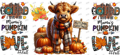 cow-Y16545